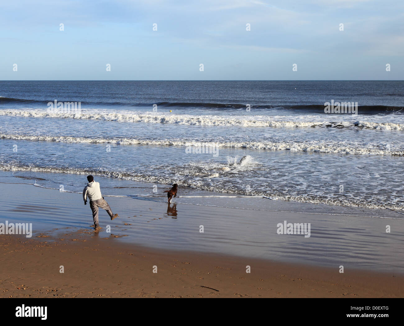 L'uomo gettando sfera nel mare del Nord per i suoi due cani di chase, Seaburn beach Sunderland Nord Est Inghilterra Foto Stock