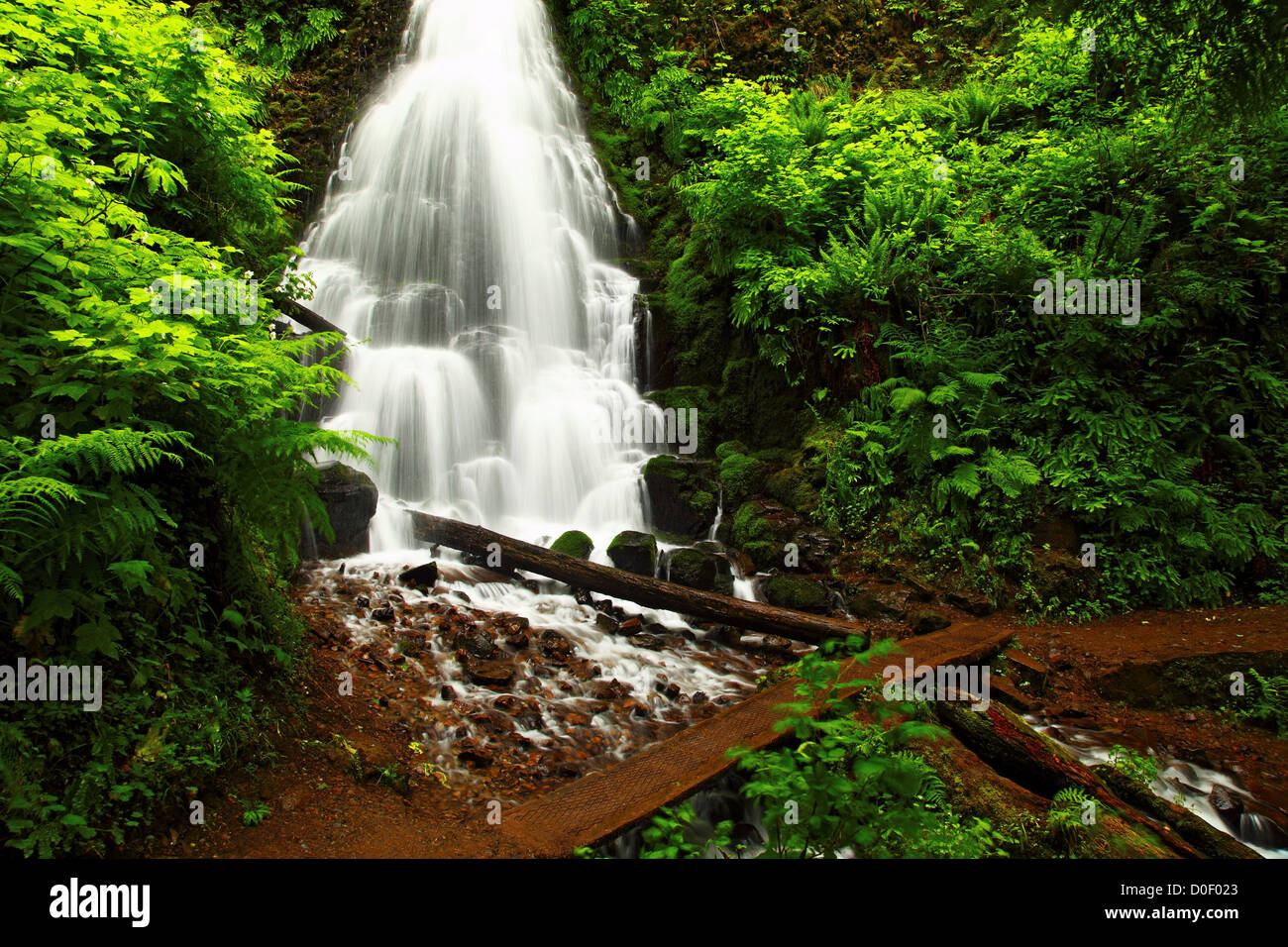 Le Fairy Falls in Columbia River Gorge National Scenic Area, Multnomah County, Oregon. Foto Stock