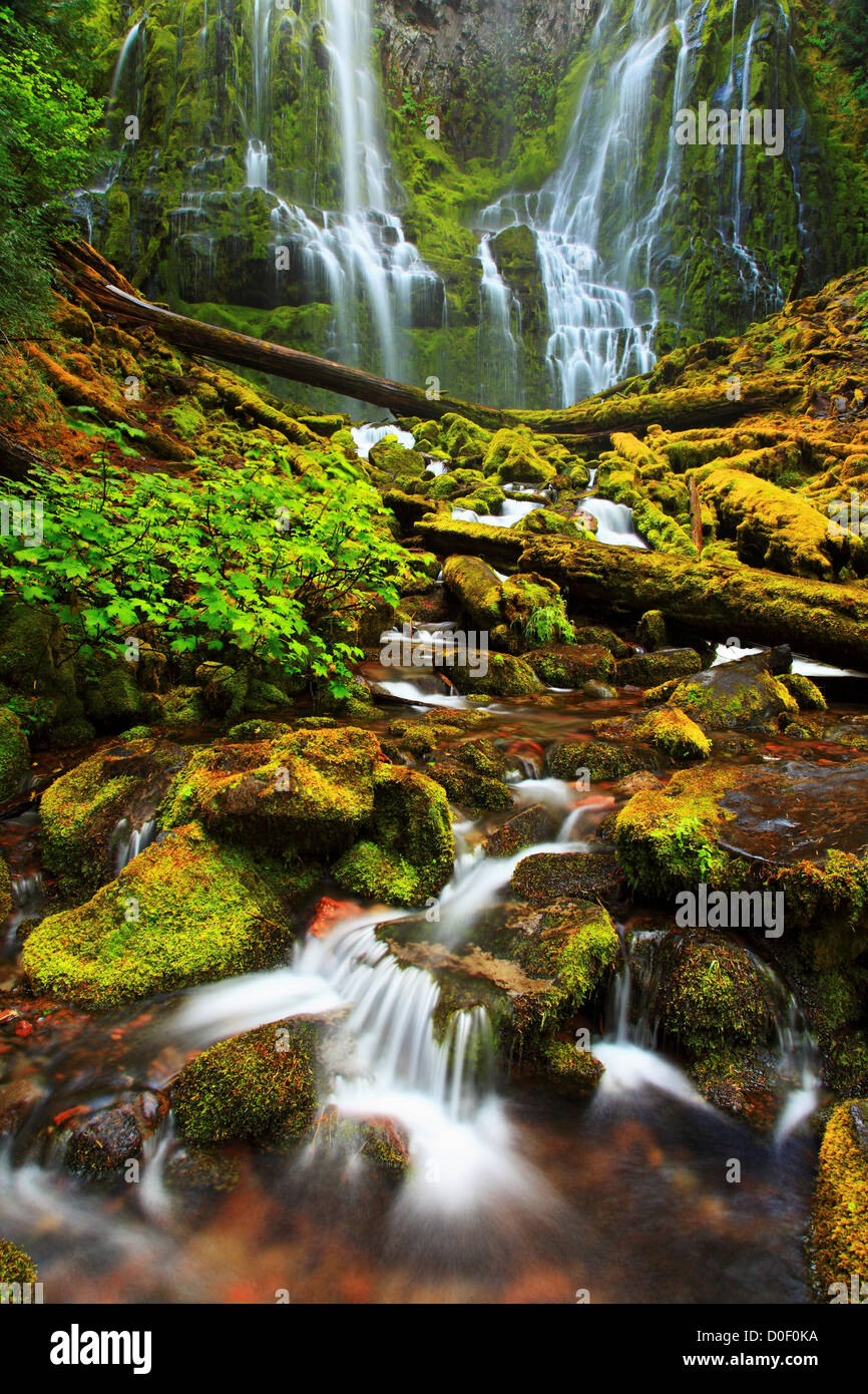 La base di Proxy cade nelle tre sorelle deserto, Willamette National Forest, Oregon. Foto Stock