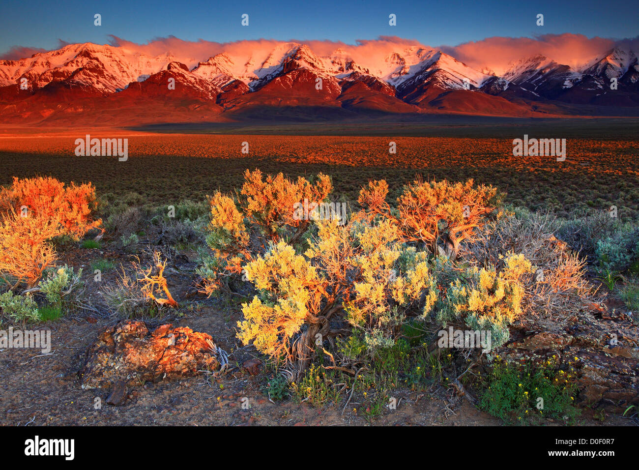 Sunrise, guardando il fronte orientale delle Montagne Steens, Steens Mountain gestione cooperativa, Oregon. Foto Stock