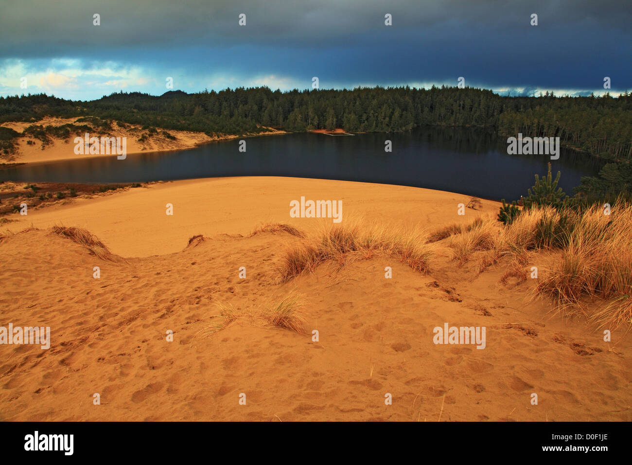 Stormlight oltre Honeyman dune di sabbia Cleawox Lago in Jessie M. Honeyman Memorial State Park lungo Oregon Dunes National Foto Stock