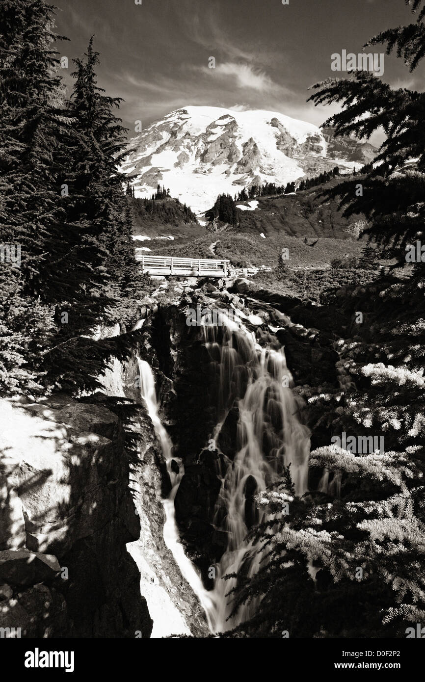 Il mirto cade e il Monte Rainier in Mount Rainier National Park, Washington. Foto Stock