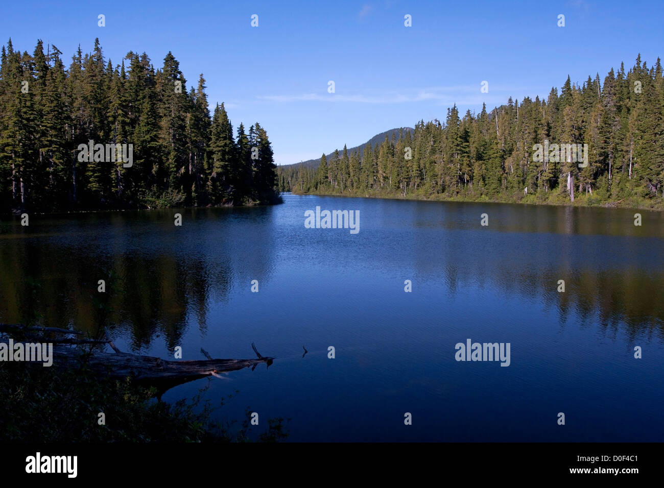 Corazzata del lago alla vietato altopiano, Strathcona Park, l'isola di Vancouver, BC, Canada nel mese di settembre Foto Stock