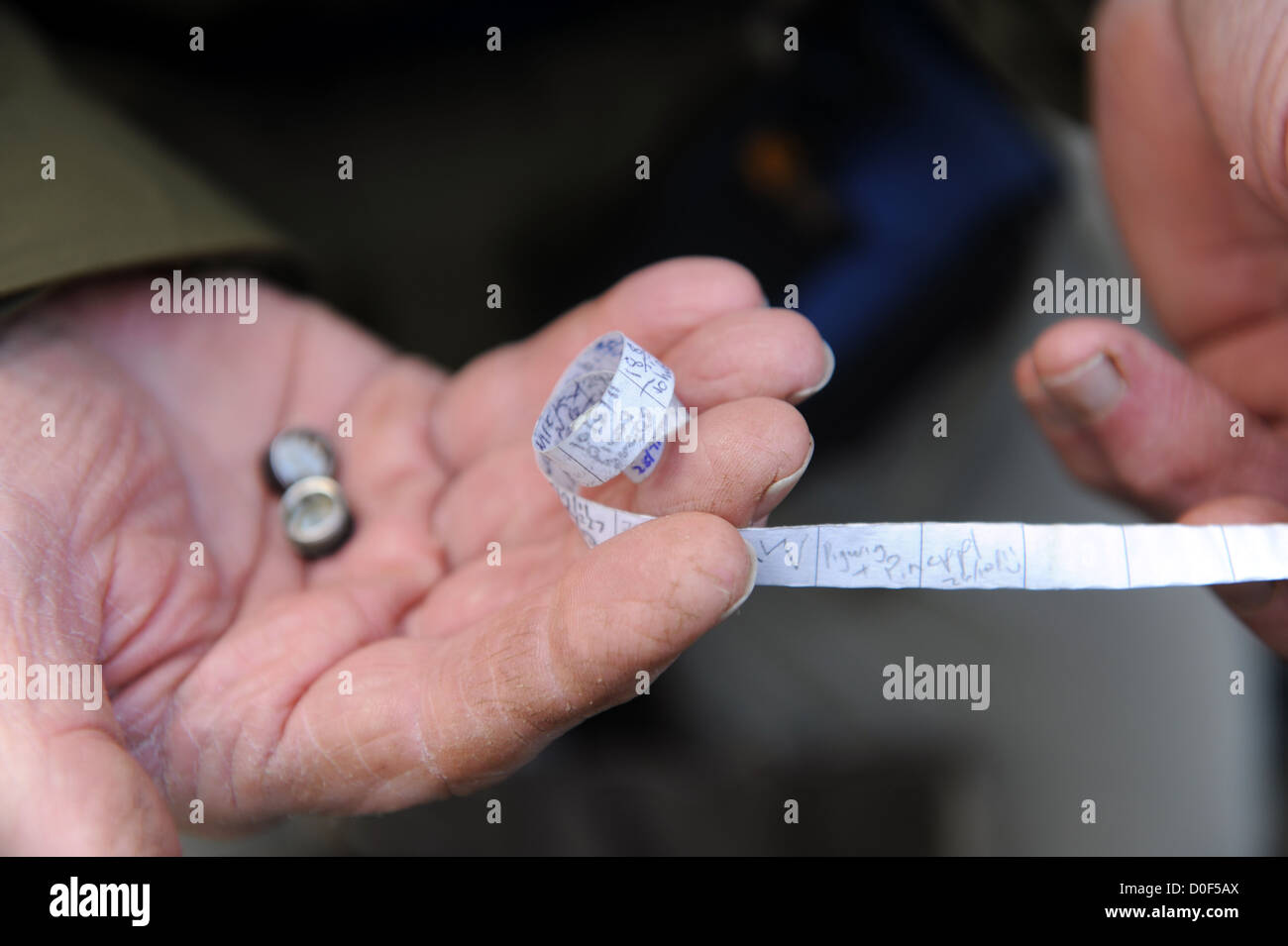 74 enne pensionato trova un nano cache in Danby North Yorkshire, Inghilterra Foto Stock