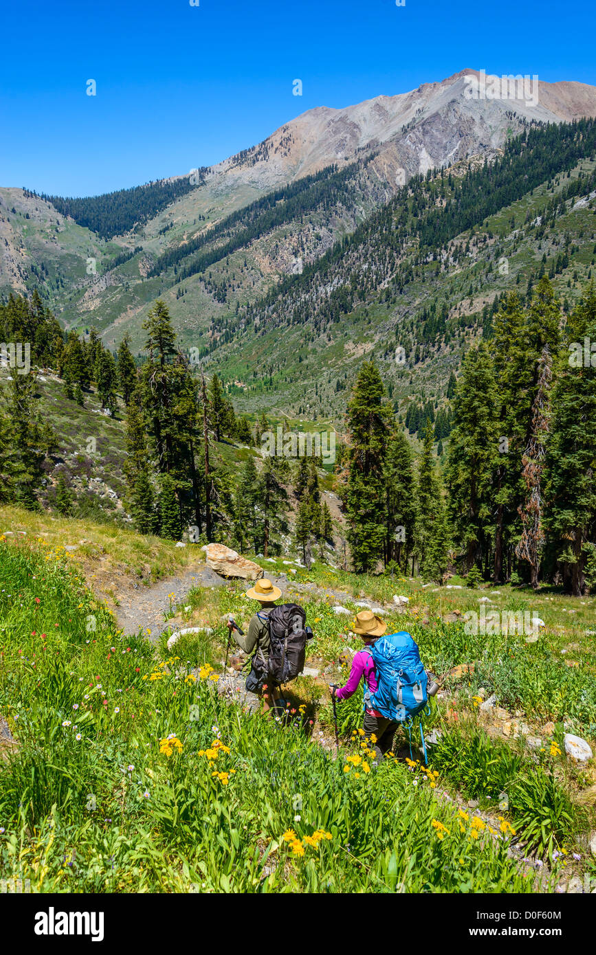 Laghi di zanzara, Sequoia National Park, California, Stati Uniti d'America Foto Stock