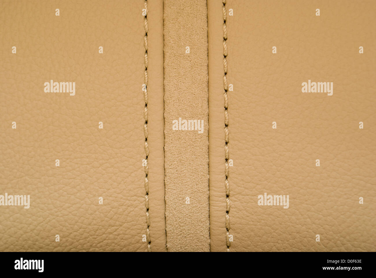 Cucitura verticalmente in pelle cremosa Foto Stock