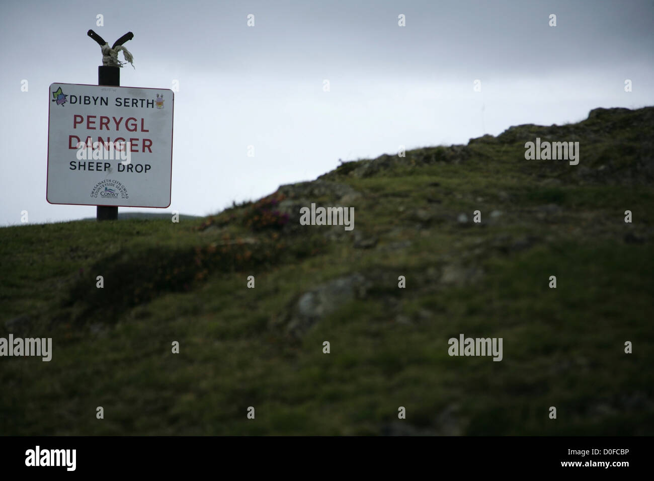 Caduta di pura e semplice cartello di avviso modificato in 'Sheep Drop' sulla cima della montagna a Conwy, il Galles del Nord. Foto Stock