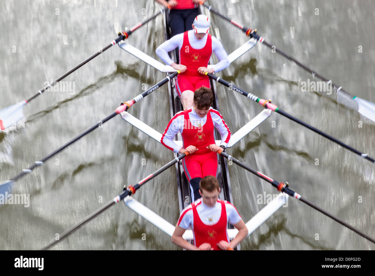 Close-up di un uomo coxed quad scull remare nella testa del fiume gara, Bristol, febbraio 2012, visto dall'alto. Foto Stock