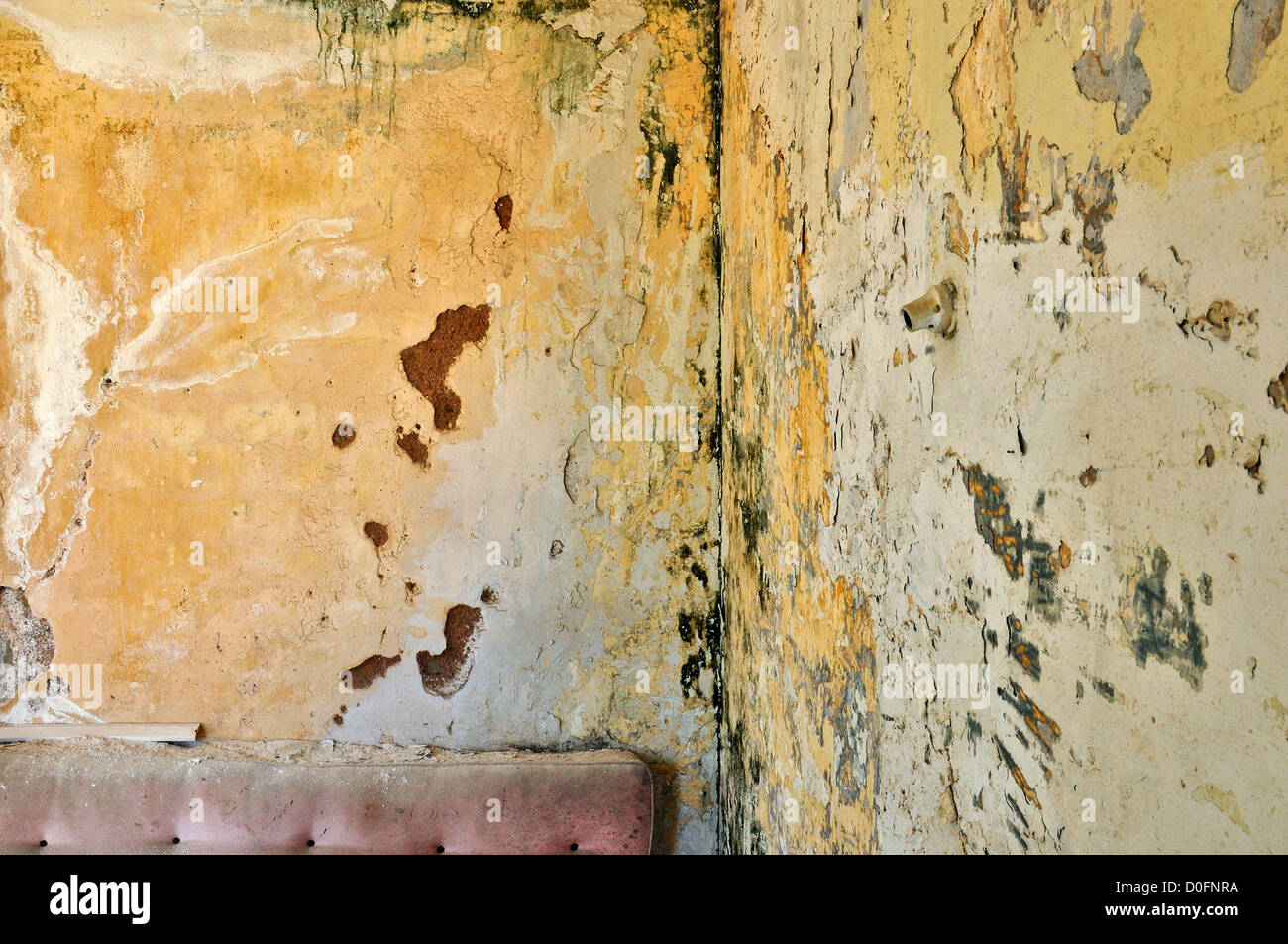 Pareti scrostate parete grunge in abbandonato interni. Texture di sfondo. Foto Stock