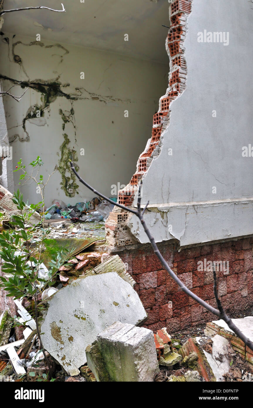 Piante che crescono attraverso il muro rotto di una casa in rovina. Foto Stock