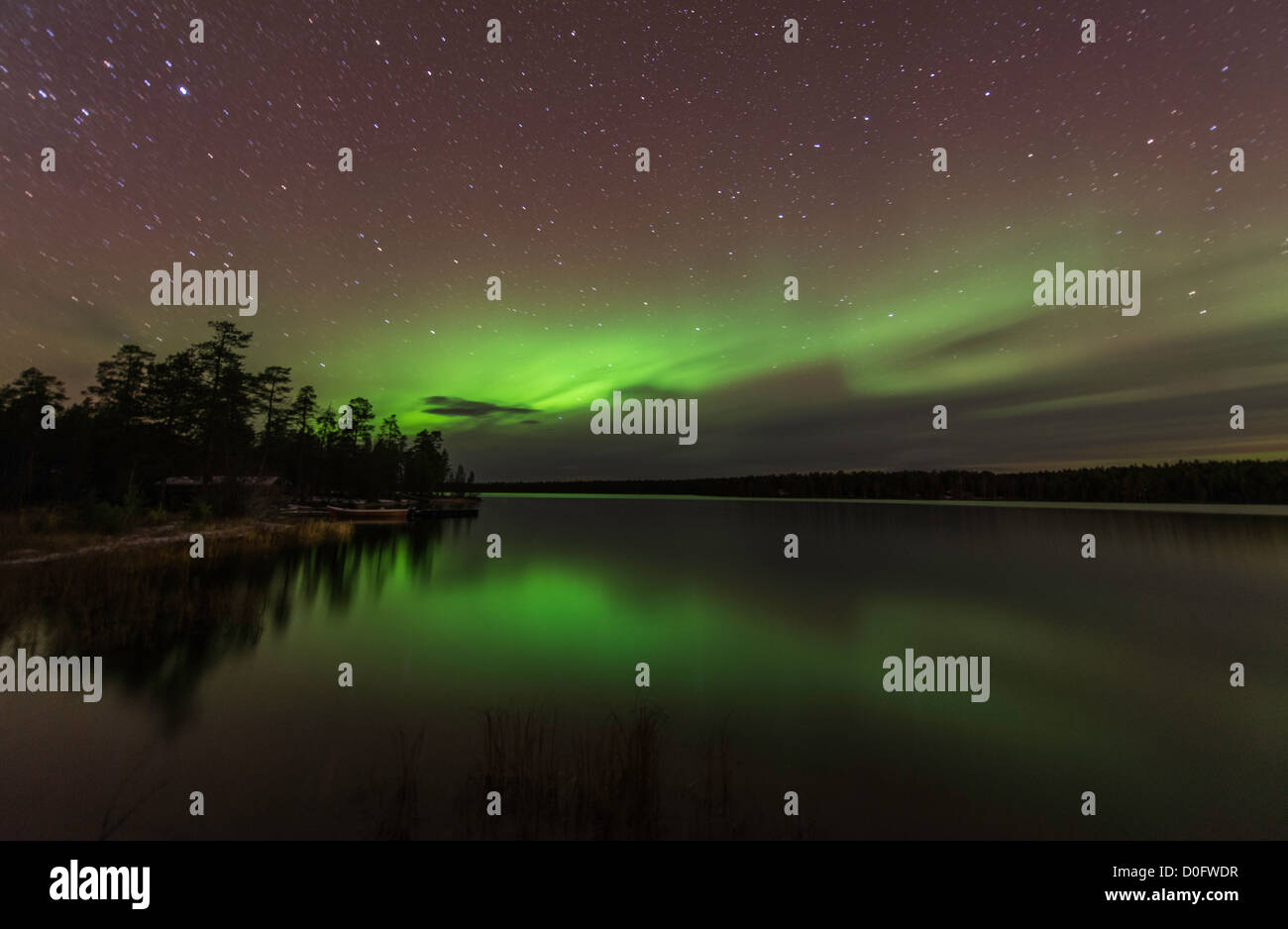 Northern Light o Aurora Boreale Nellim vicino lago Inari Lapponia Finlandia Foto Stock
