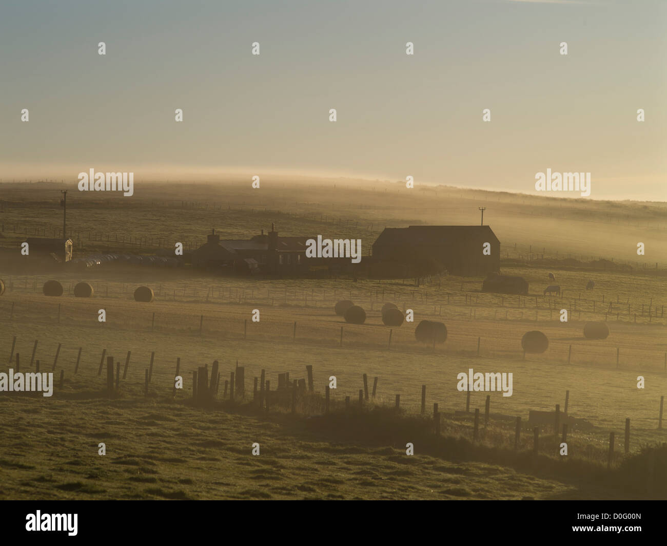 dh ORPHIR ORKNEY Casale scozzese balle di fieno mattina Mist fattoria Scozia autunno paesaggio fattorie regno unito nebbia luce terra Foto Stock