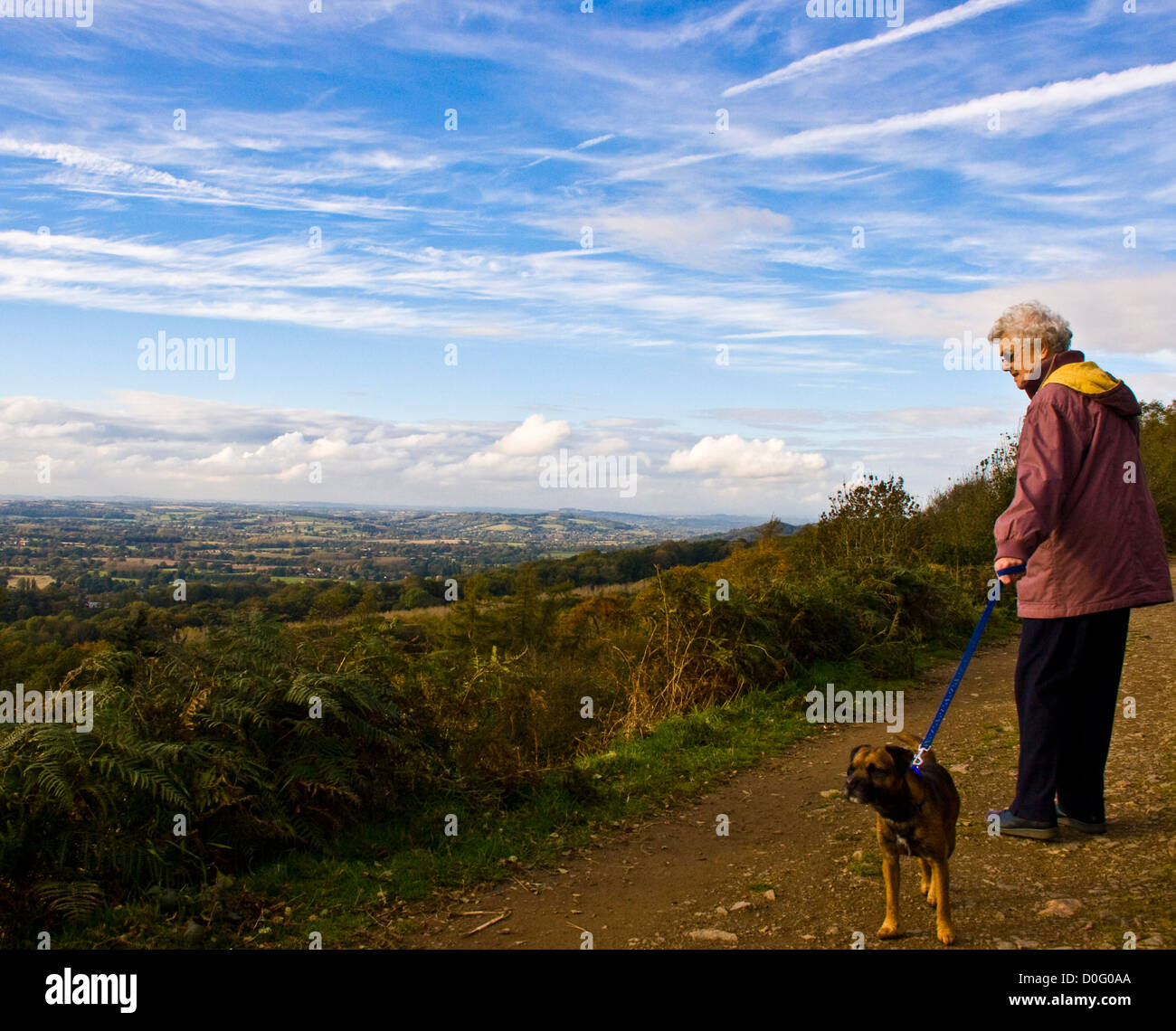 Panorama della campagna inglese con senior donna anziana e border terrier cane Malvern Hills Worcestershire Inghilterra Europa Foto Stock