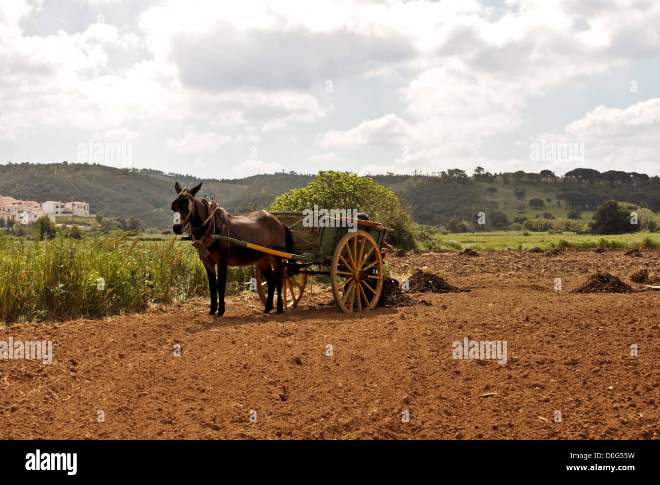 Agricoltura in una vecchia maniera in Portogallo Foto Stock