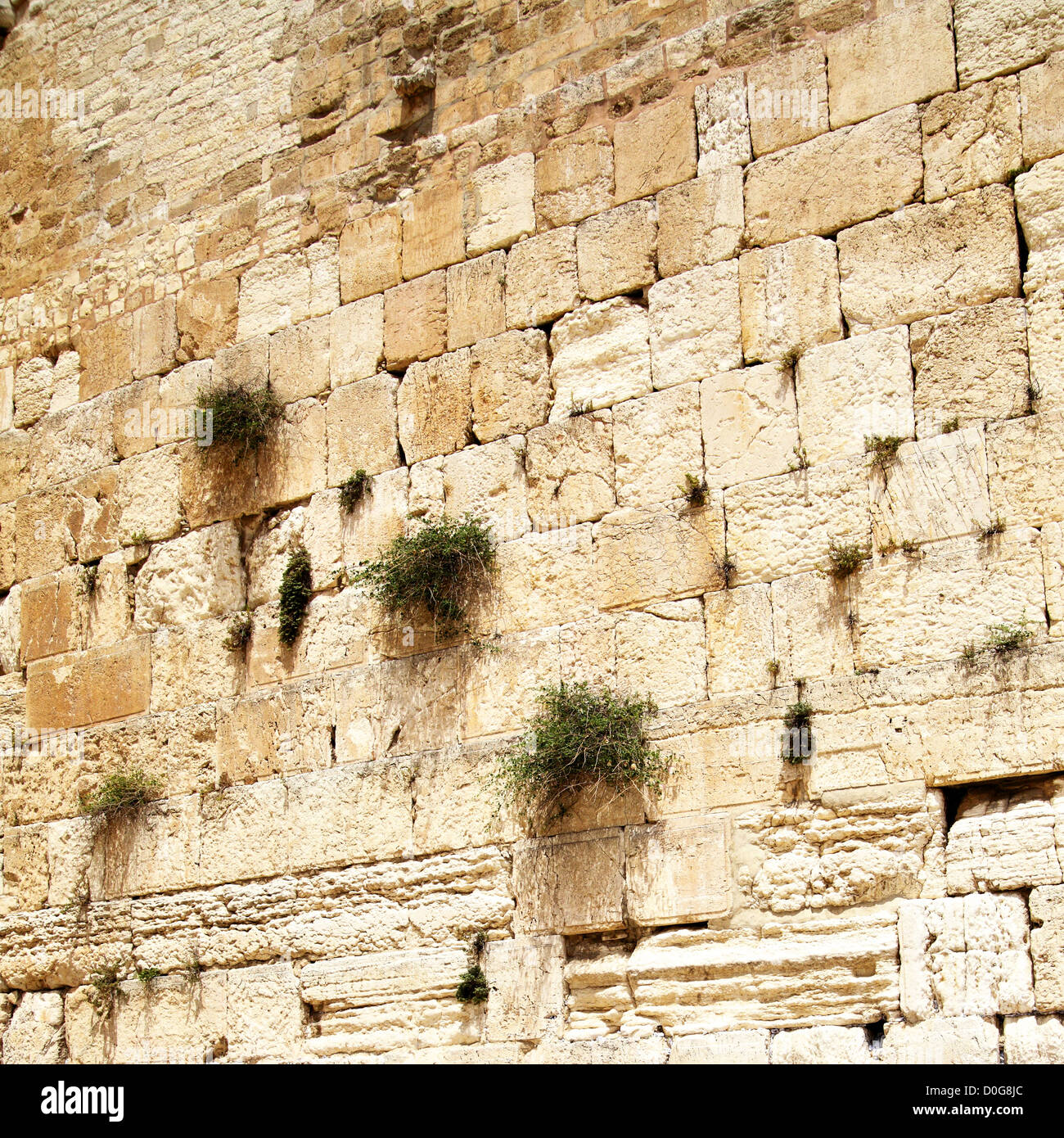 In prossimità della parete occidentale. Gerusalemme. Israele. Foto Stock
