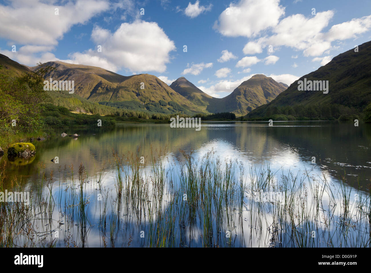 Lochan Urr in estate, Glencoe, le Highlands, Scotland, Regno Unito Foto Stock