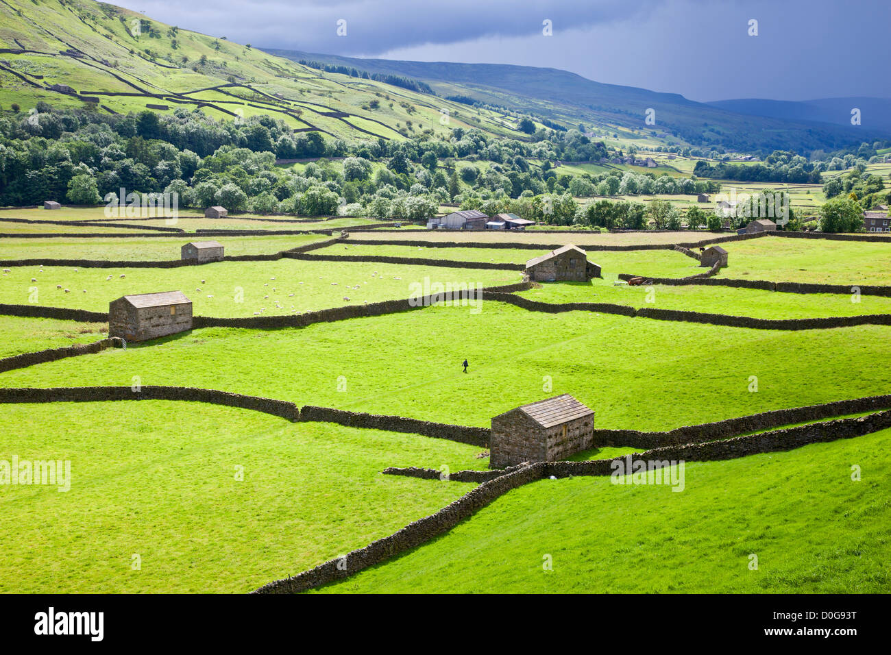 Tradizionale in pietra o fieldbarns Laithes e stalattite pareti a Gunnerside, Swaledale, Yorkshire Dales, REGNO UNITO Foto Stock