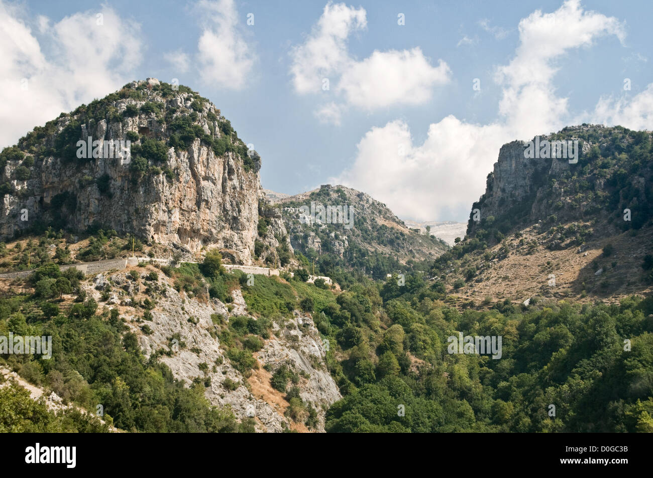 La regione montuosa di Wadi Tannourine nella parte settentrionale del Monte Libano, vicino alla città di Batroun, Libano. Foto Stock