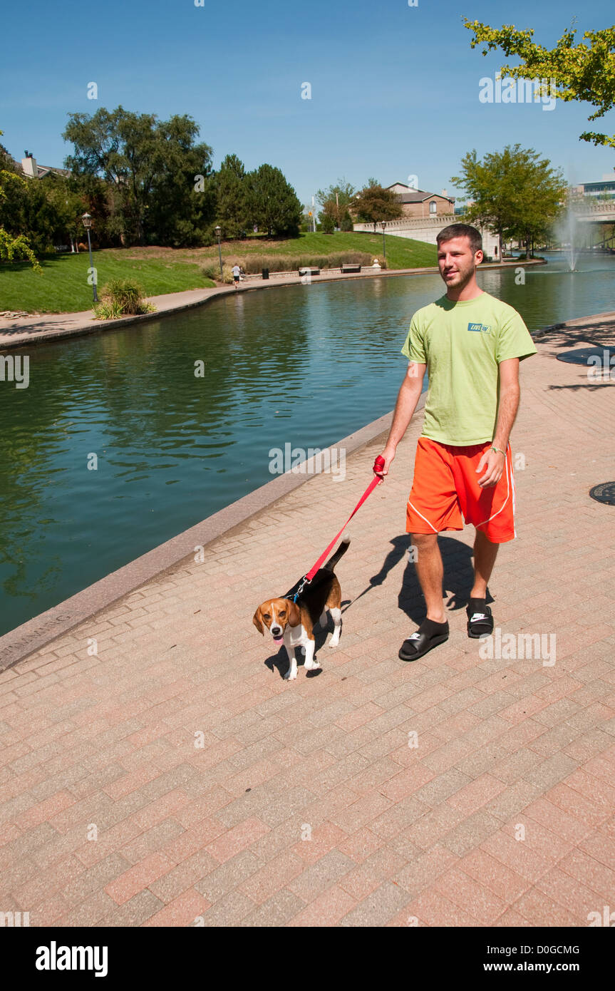 Stati Uniti d'America, Indiana Indianapolis, canal in downtown area, man walking cane Foto Stock