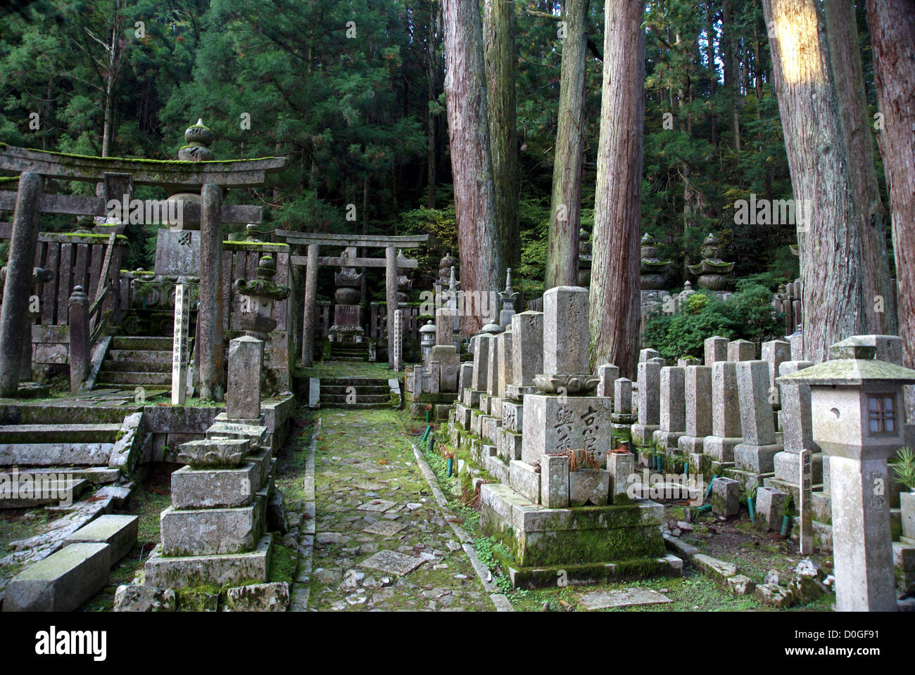 Il monte Koya Koya (SAN), Giappone Foto Stock