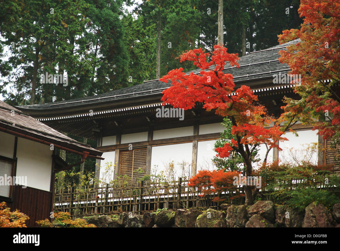 Il monte Koya Koya (SAN), Giappone Foto Stock