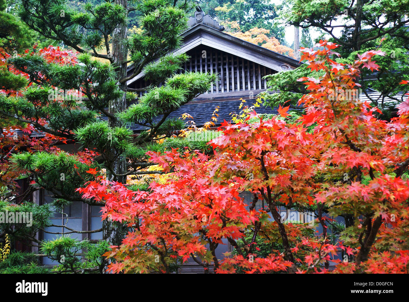 Il monte Koya Koya (SAN), Giappone Foto Stock