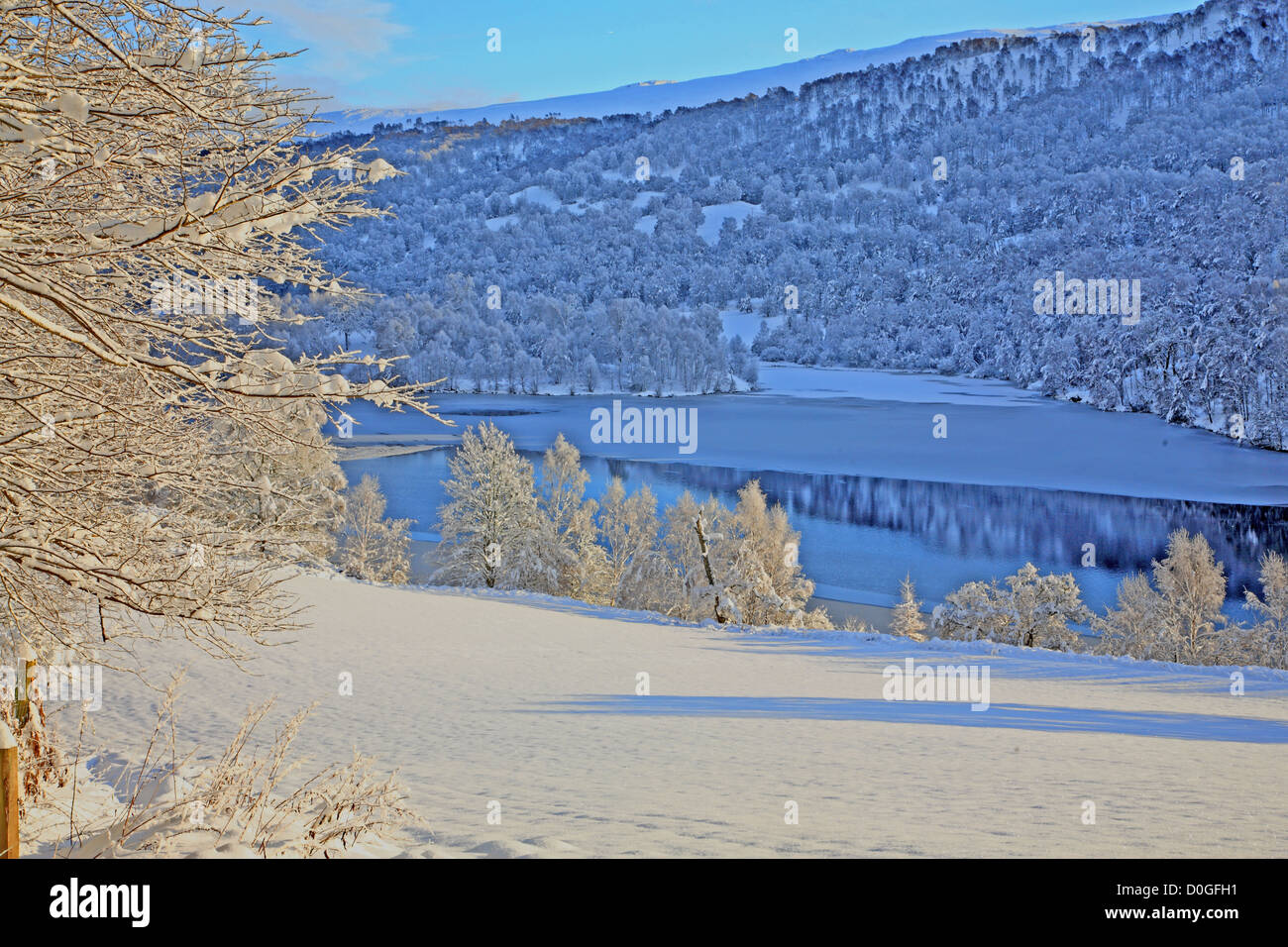 Regno Unito Scozia Tayside inverno da Loch Tummel smerigliati Alberi e neve Foto Stock