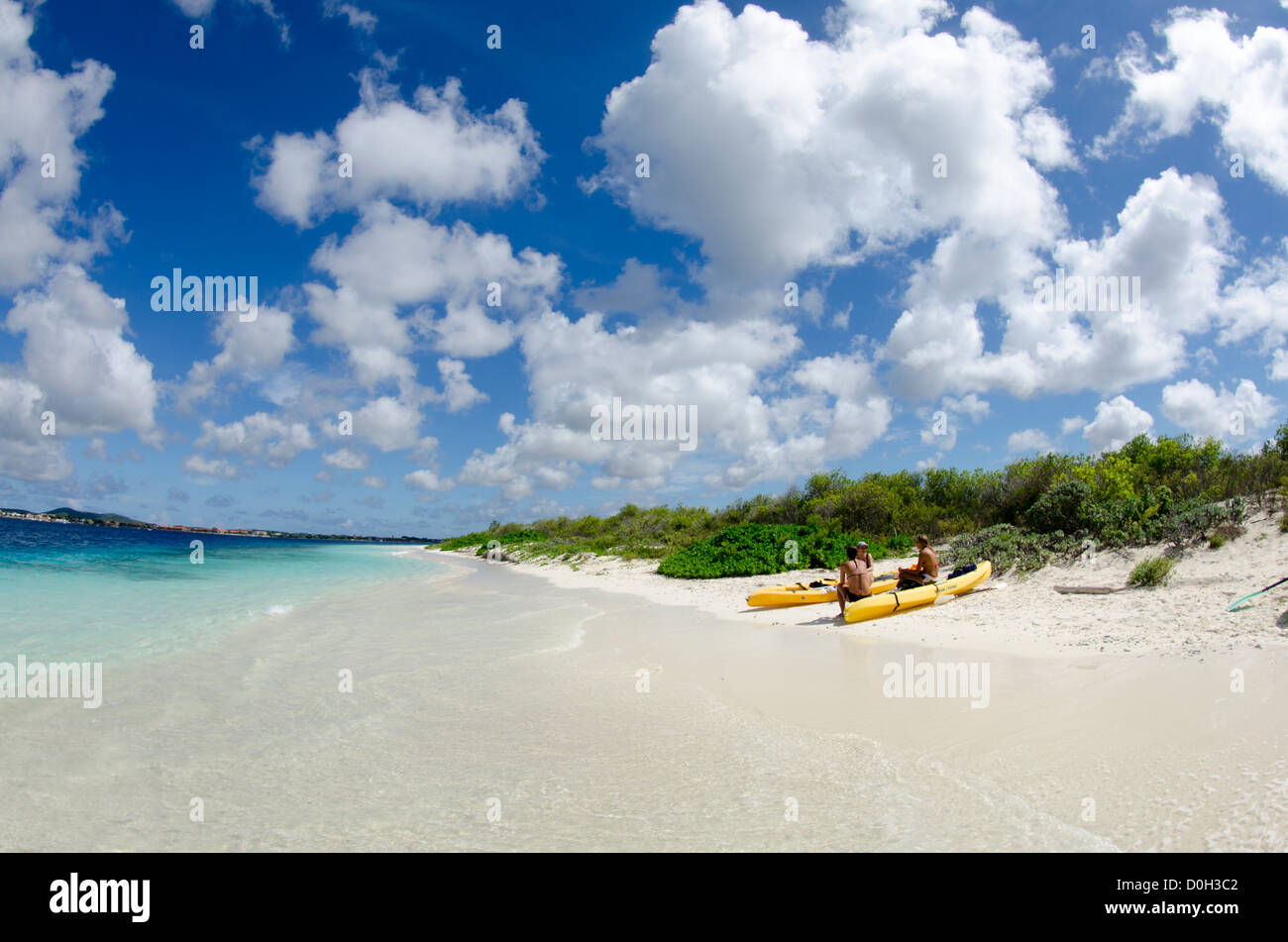 Bonaire, Antille Olandesi, Mar dei Caraibi Foto Stock
