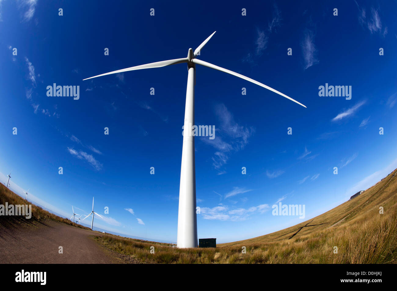 Turbina eolica per centrali eoliche whitelee in Scozia energia elettrica energia rinnovabili ambiente lame eco ecologia green Foto Stock