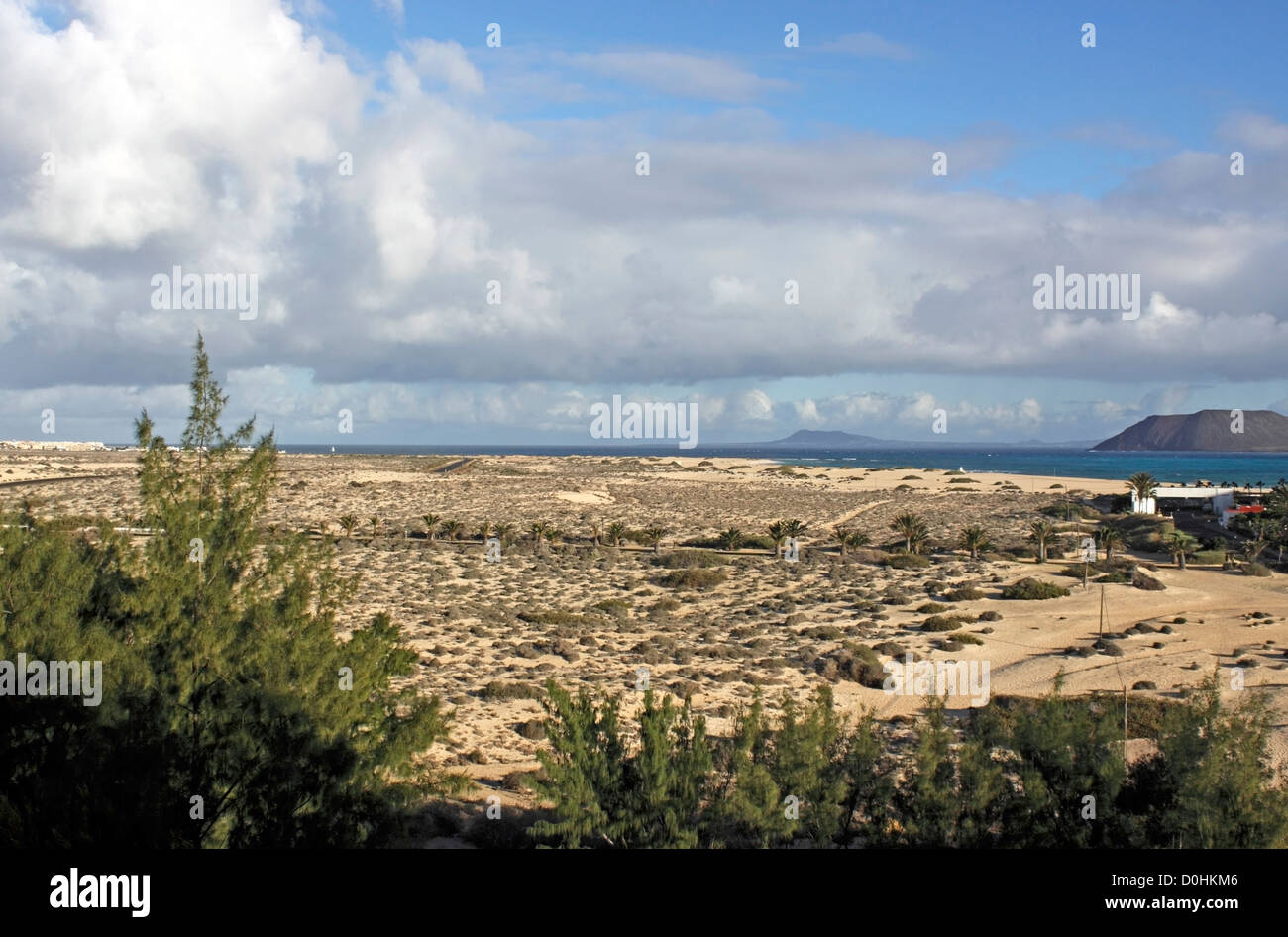 Il Parque Natural de las Dunas de Corralejo. FUERTEVENTURA. Isole Canarie. CORRALEJO RISERVA NATURALE. Foto Stock
