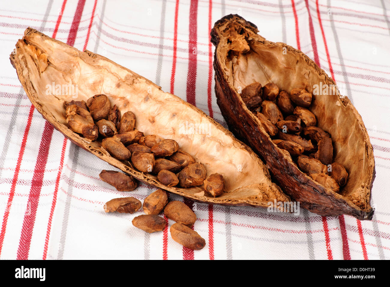 Cacao con frutta con la buccia fagioli Foto Stock