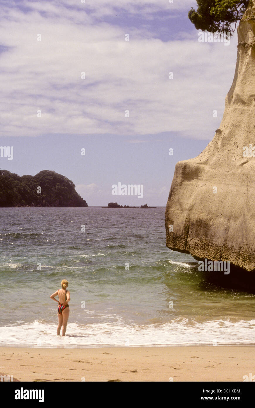 Cove Della Cattedrale Riserva Marina,attrazione popolare con i visitatori,Beach,insolite formazioni di roccia,archi,Isole,Harpooning pesce,NZ Foto Stock