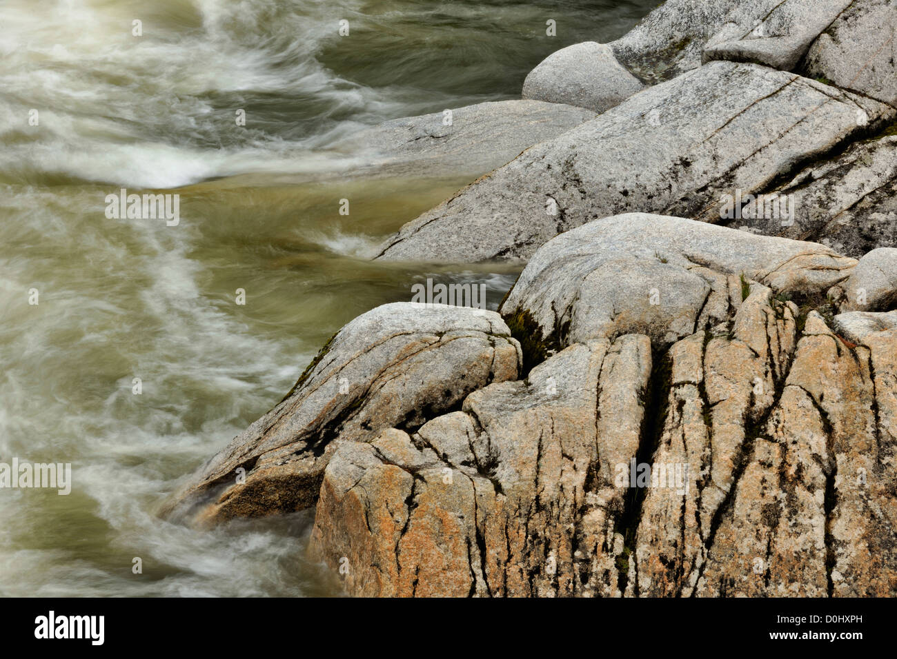 Fiume Lochsa rapids, Clearwater National Forest, Idaho, Stati Uniti d'America Foto Stock