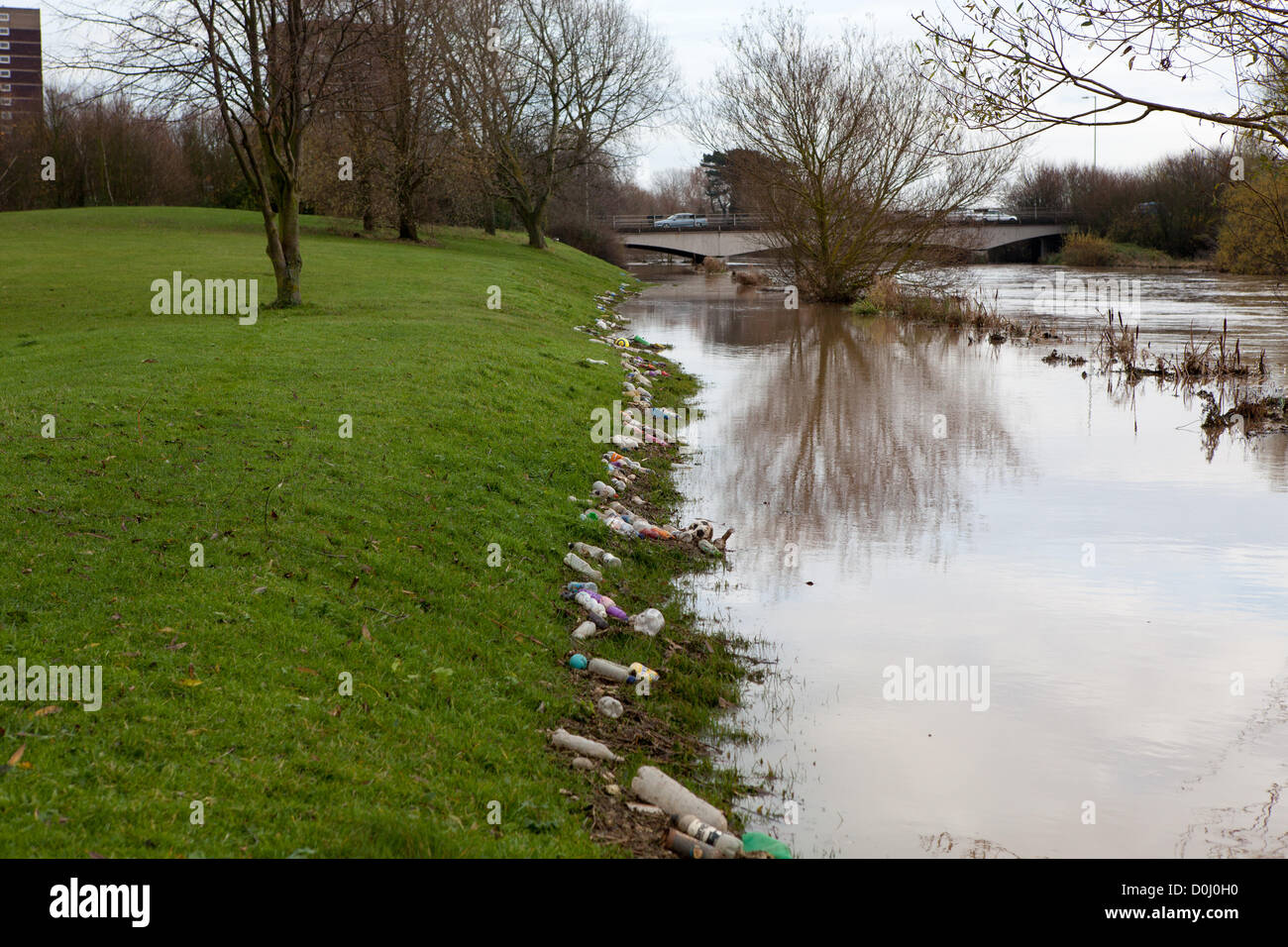 Tamworth, Staffordshire, Regno Unito. 26 Novembre, 2012. Un 'scum linea" di bottiglie di plastica e detriti accanto alle acque di esondazione dei fiumi Tame e Anker in Tamworth Staffordshire. Foto Stock