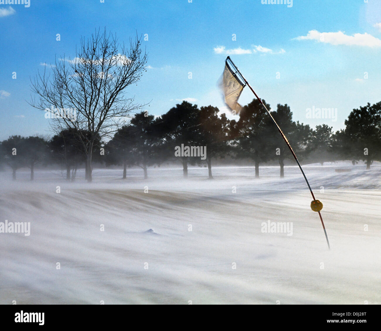 Vento e neve prendere il loro pedaggio su un campo da Golf a bandiera Foto Stock