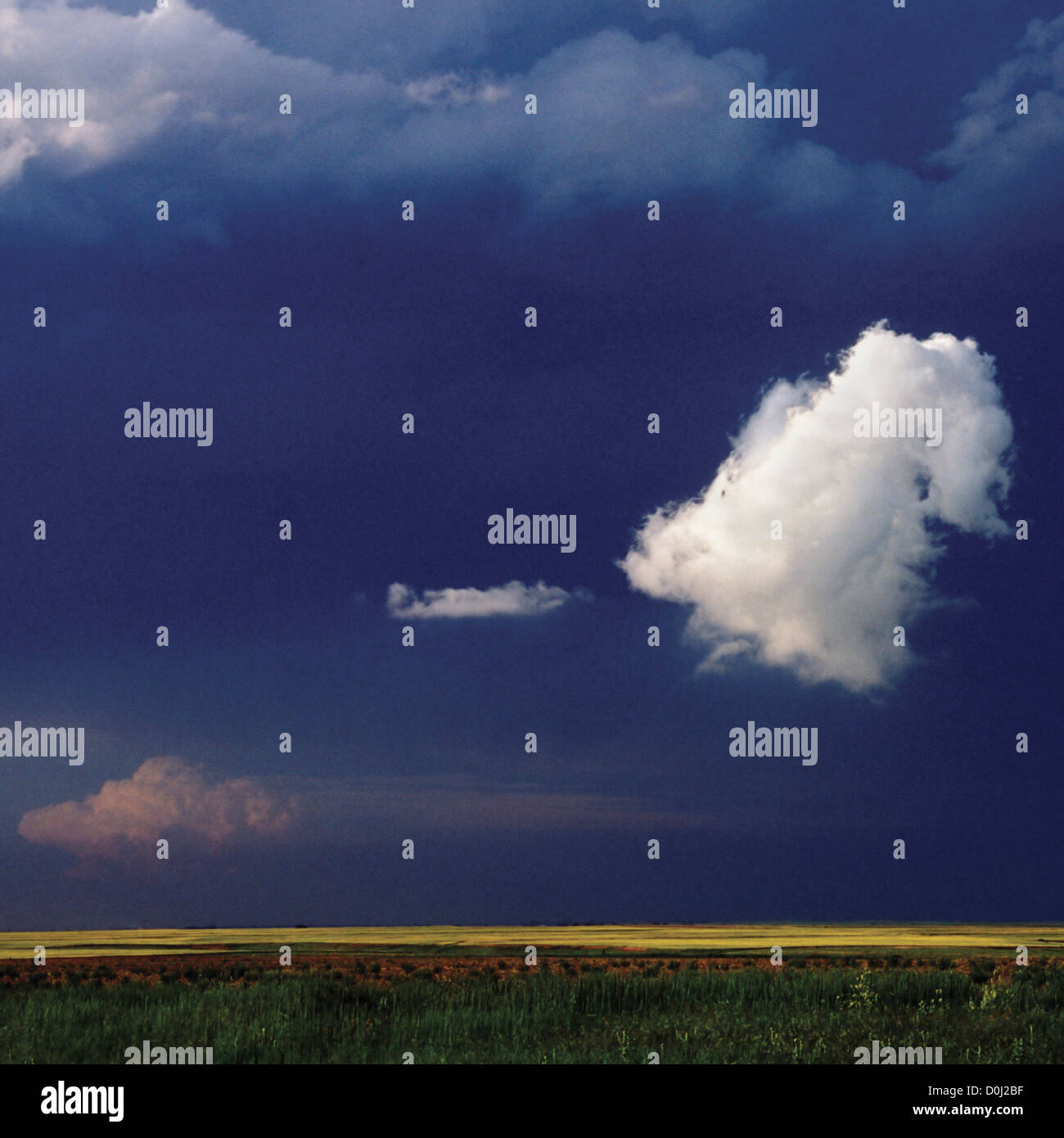 Un solitario Cumulus Cloud Scoots lungo il terreno in prossimità di un forte temporale Foto Stock