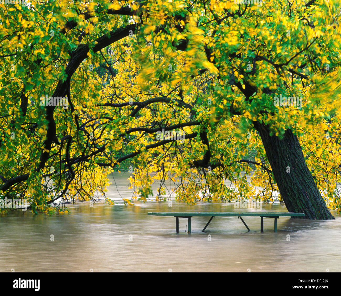 Un parco allagato da un alluvione lampo Foto Stock