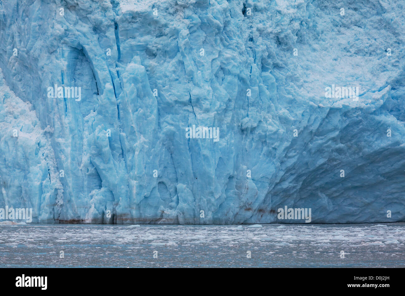 Vista panoramica del Glacier Bay in Alaska Foto Stock