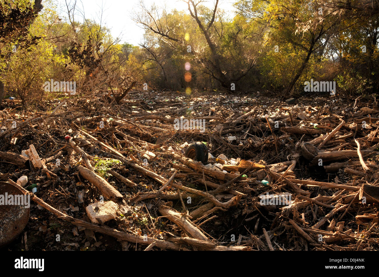 Le bottiglie di plastica, pneumatici e altri detriti intasa la Santa Cruz River, Tubac, Arizona, Stati Uniti d'America, nel deserto di Sonora. Foto Stock