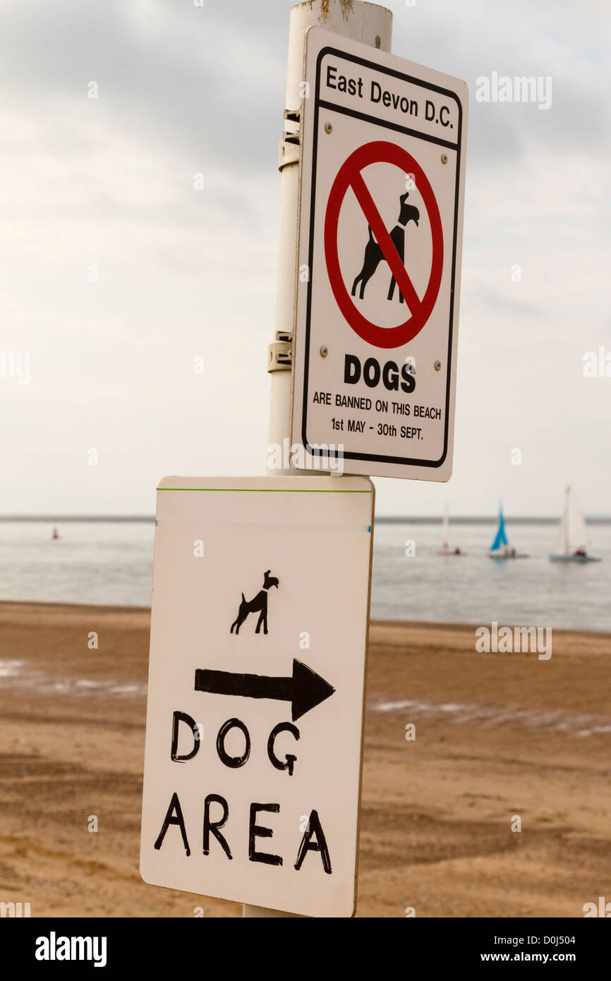 I cani sono vietati segno sulla spiaggia Foto Stock