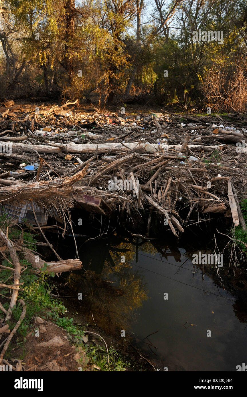 Le bottiglie di plastica, pneumatici e altri detriti intasa la Santa Cruz River, Tubac, Arizona, Stati Uniti d'America, nel deserto di Sonora. Foto Stock