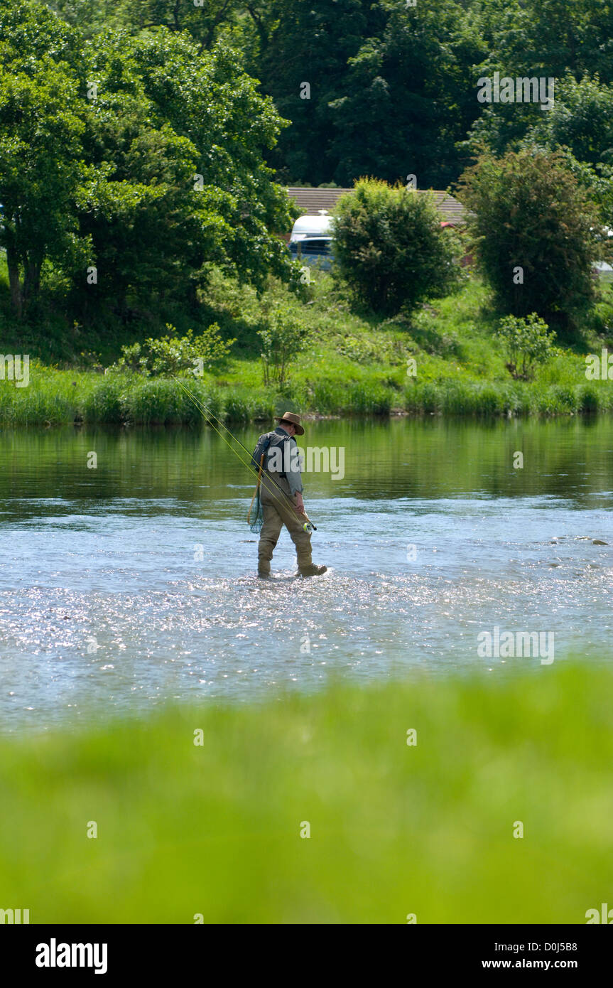 Un uomo pesca a mosca nel fiume Wye a Builth Wells. Foto Stock