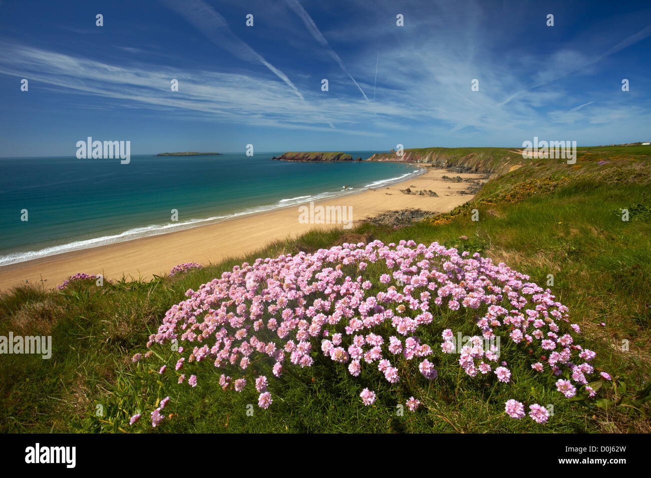 L'ampia spiaggia di sabbia a Marloes dal Pembrokeshire sentiero costiero. Foto Stock