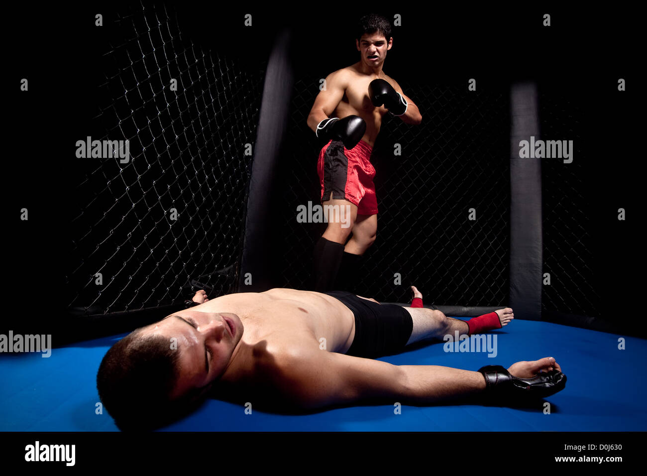 Misto di artisti marziali lotta - knock out Foto Stock