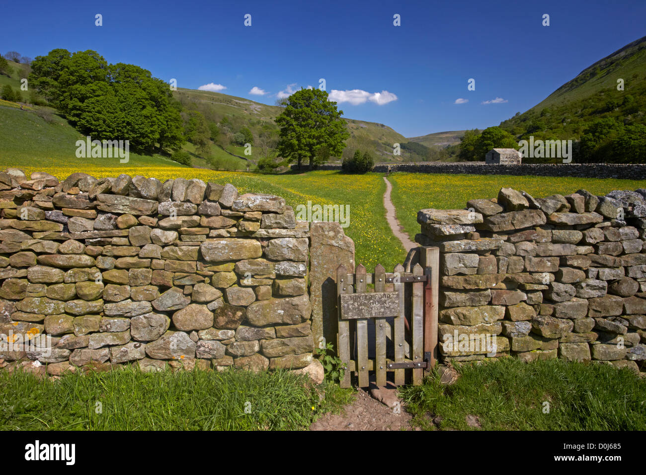 Gate leading attraverso stalattite parete a inizio estate buttercup prati in Swaledale. Foto Stock