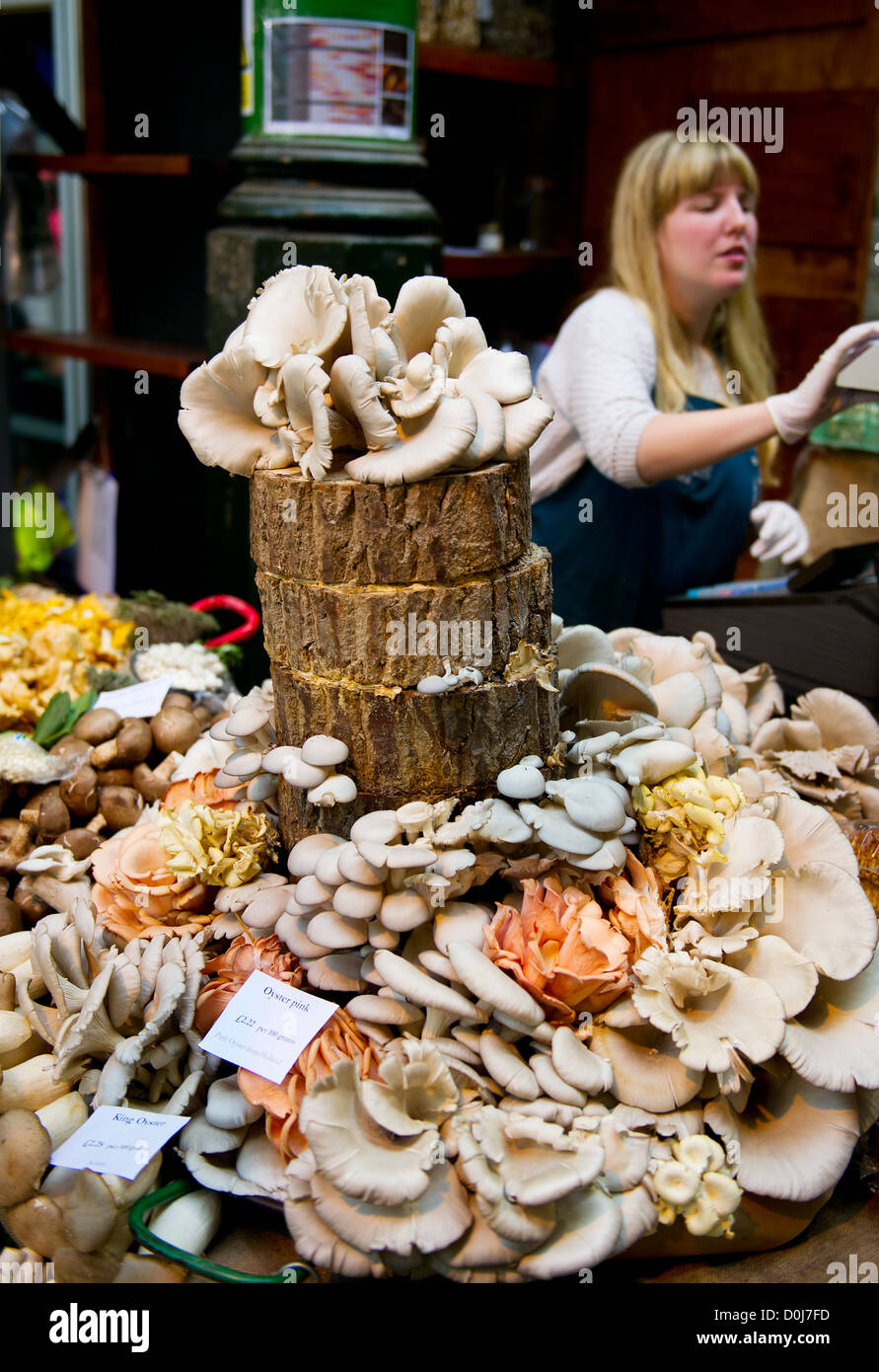 Diversi funghi per la vendita al mercato di Borough. Foto Stock