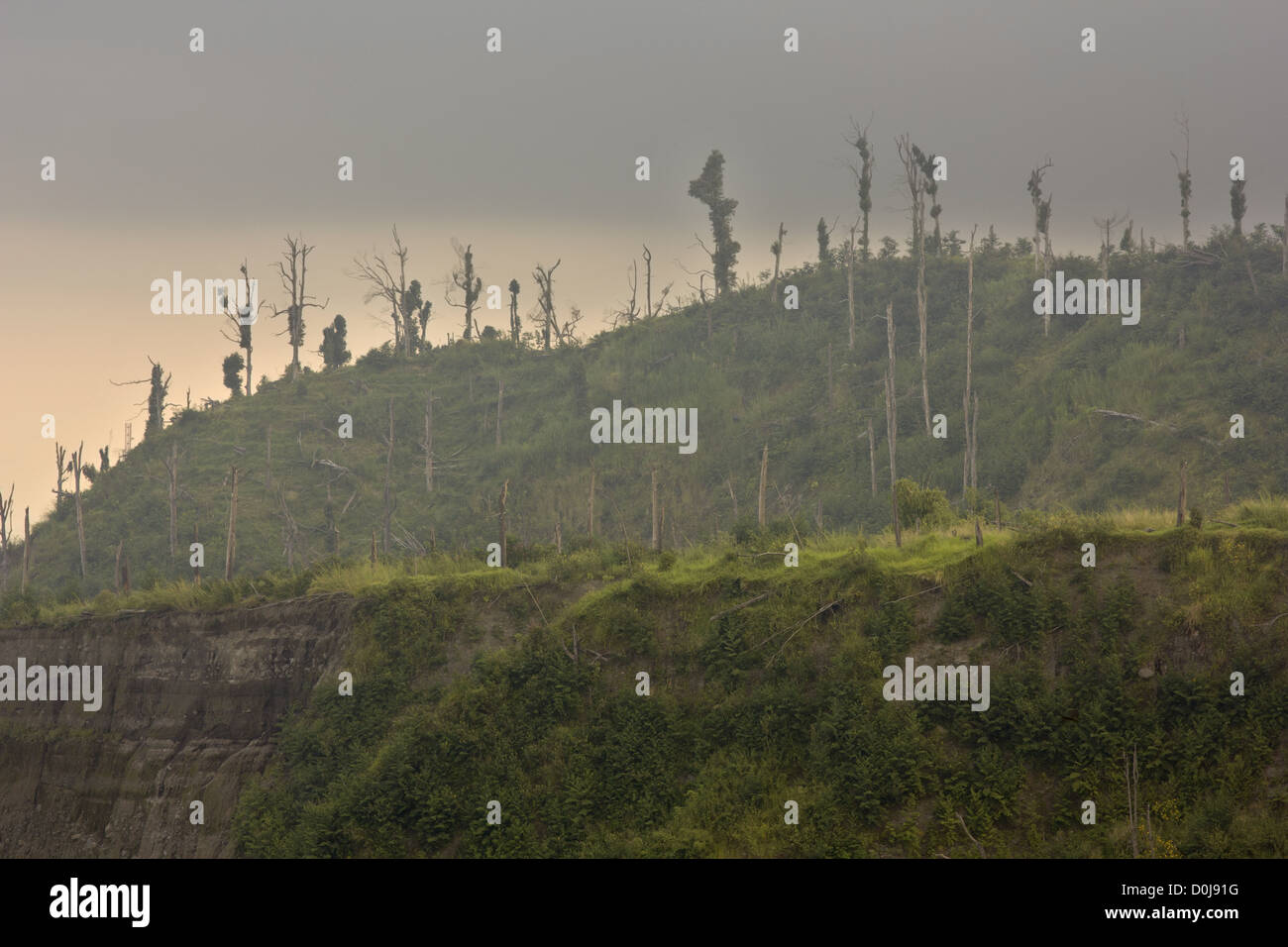 Il monte vulcano Merapi in Indonesia, 1 anno dopo l eruzione Foto Stock