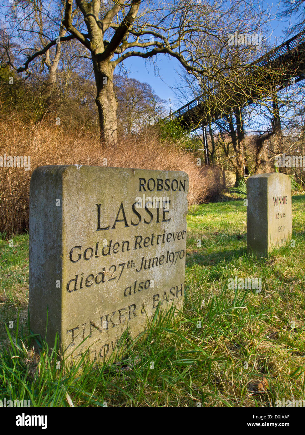 Lapide in un cimitero di PET e PET terreno di sepoltura in Jesmond Dene nella città di Newcastle. Foto Stock