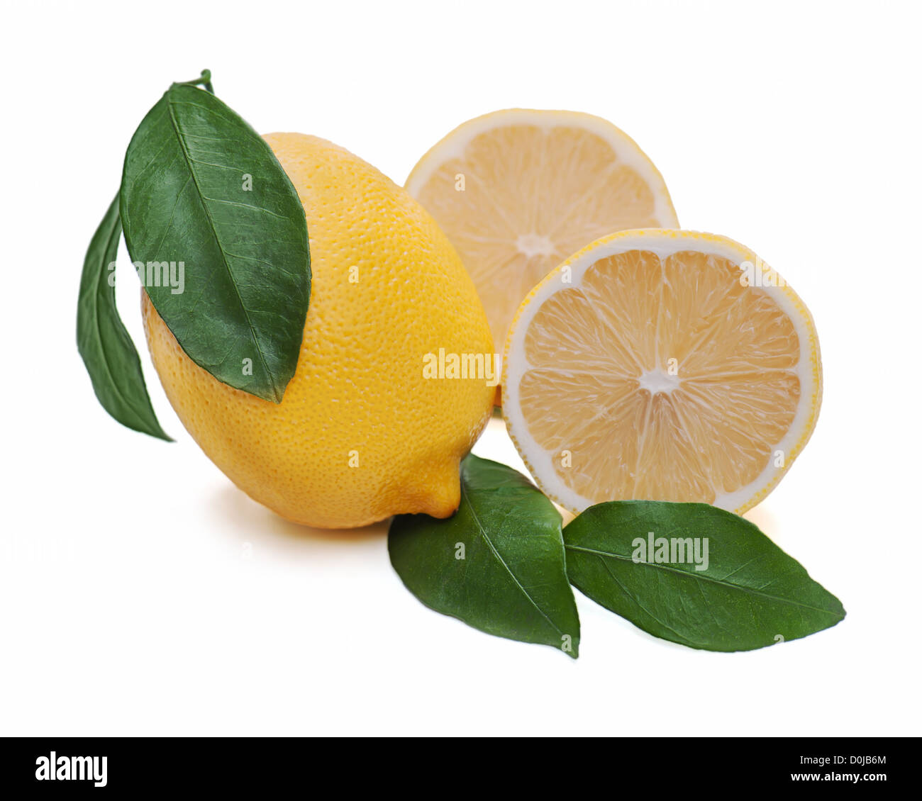 Fresche di agrumi Limoni con taglio e foglie verdi isolati su sfondo bianco Foto Stock