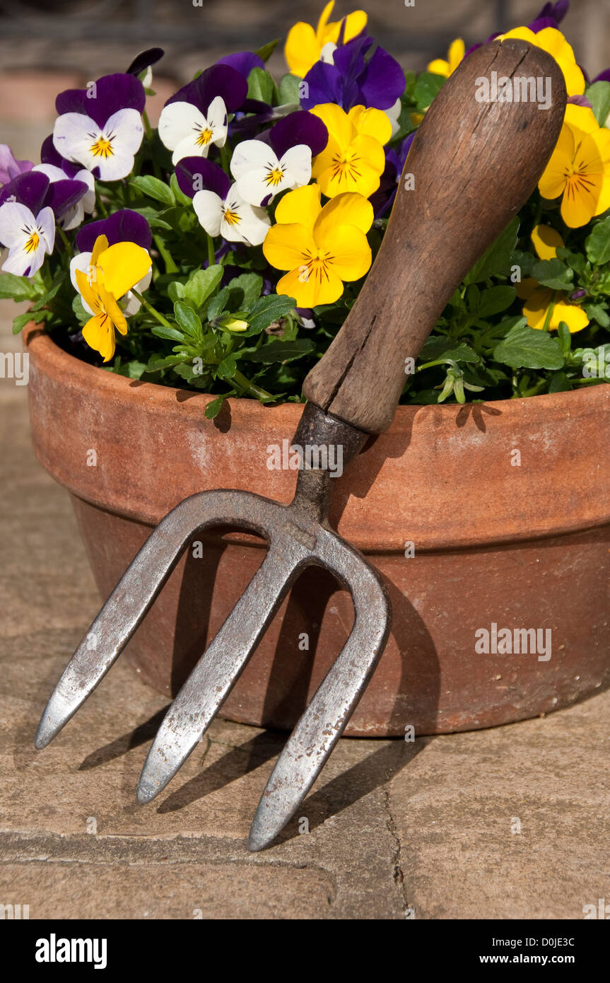 Vecchio giardino lato forcella in appoggio contro una terracotta pentola di creta pieno di pansies. Foto Stock